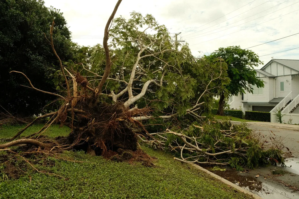 Uprooted tree lying across a lawn after a storm